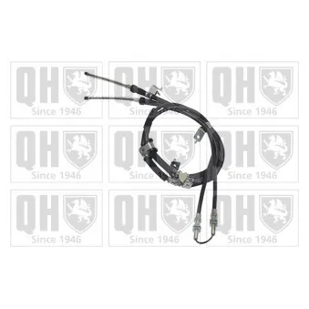 Tirette à câble, frein de stationnement QUINTON HAZELL OEM 96518596
