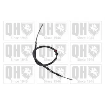 Tirette à câble, frein de stationnement QUINTON HAZELL OEM 46511039