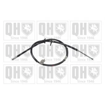 Tirette à câble, frein de stationnement QUINTON HAZELL OEM 5976022110