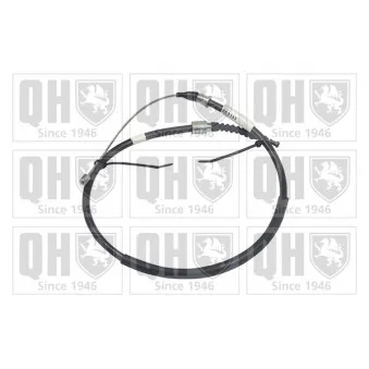 Tirette à câble, frein de stationnement QUINTON HAZELL OEM 24443834