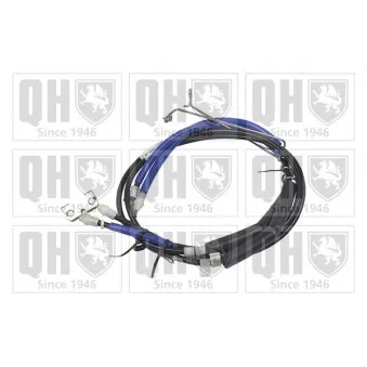Tirette à câble, frein de stationnement QUINTON HAZELL OEM 4439343