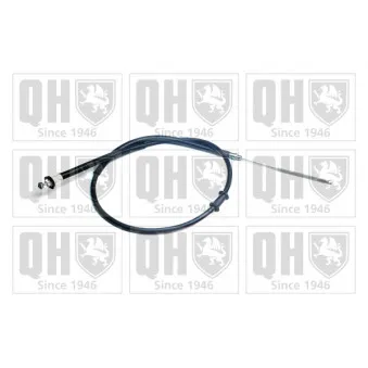 Tirette à câble, frein de stationnement QUINTON HAZELL OEM 51731443
