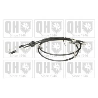 Tirette à câble, frein de stationnement QUINTON HAZELL OEM 96230545