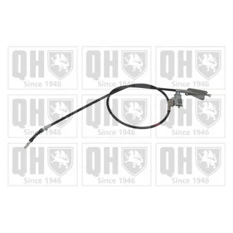 Tirette à câble, frein de stationnement QUINTON HAZELL OEM 36531BM700