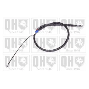 Tirette à câble, frein de stationnement QUINTON HAZELL OEM 8200029461