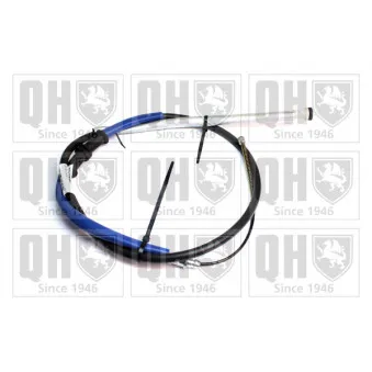 Tirette à câble, frein de stationnement QUINTON HAZELL OEM 55700928