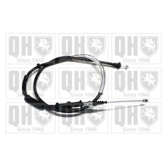 Tirette à câble, frein de stationnement QUINTON HAZELL OEM 55704104