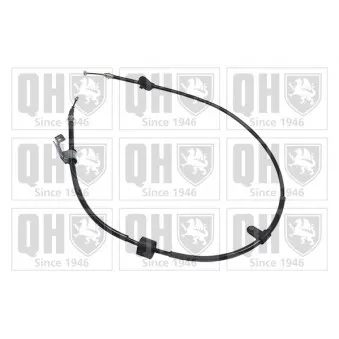 Tirette à câble, frein de stationnement QUINTON HAZELL OEM 50505370