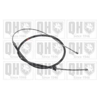 Tirette à câble, frein de stationnement QUINTON HAZELL OEM 6R0609721B