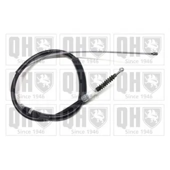 Tirette à câble, frein de stationnement QUINTON HAZELL OEM 1K0609721BG