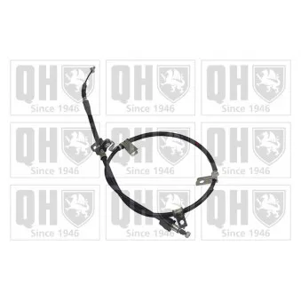 Tirette à câble, frein de stationnement QUINTON HAZELL OEM 5976007300