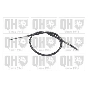 Tirette à câble, frein de stationnement QUINTON HAZELL OEM 597703A300