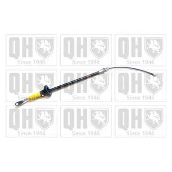 Tirette à câble, frein de stationnement QUINTON HAZELL OEM 365301862R