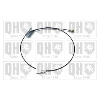 Tirette à câble, frein de stationnement QUINTON HAZELL OEM 365301673R