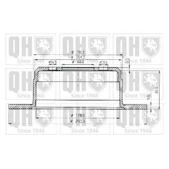 Jeu de 2 disques de frein arrière QUINTON HAZELL OEM 6768121