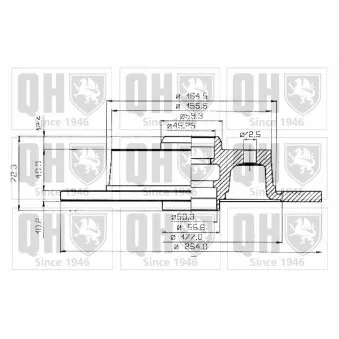 Jeu de 2 disques de frein arrière QUINTON HAZELL BDC3594