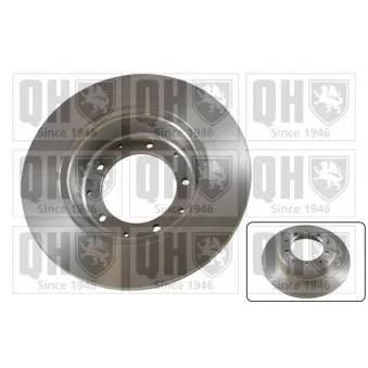 Jeu de 2 disques de frein arrière QUINTON HAZELL OEM FTC3846