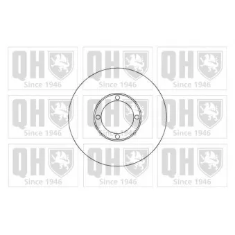 Jeu de 2 disques de frein avant QUINTON HAZELL OEM 4351287519000