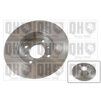 Jeu de 2 disques de frein arrière QUINTON HAZELL OEM 4320699J04