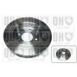 QUINTON HAZELL BDC5104 - Jeu de 2 disques de frein arrière
