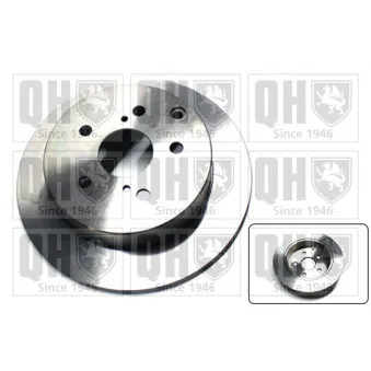 Jeu de 2 disques de frein arrière QUINTON HAZELL OEM 424310F010