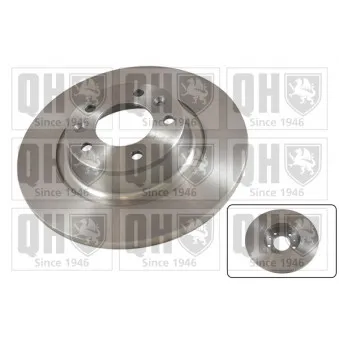 Jeu de 2 disques de frein arrière QUINTON HAZELL OEM 9404249918