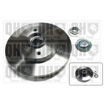 Jeu de 2 disques de frein arrière QUINTON HAZELL OEM E169512
