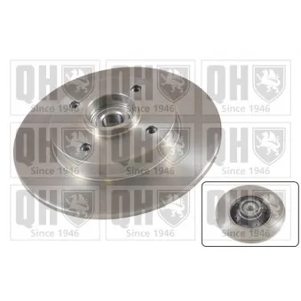 Jeu de 2 disques de frein arrière QUINTON HAZELL OEM 4246Z9