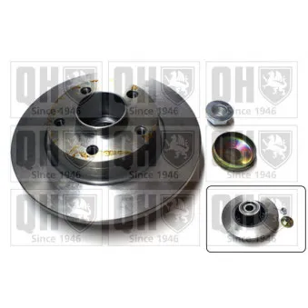 Jeu de 2 disques de frein arrière QUINTON HAZELL OEM 4320600QAE