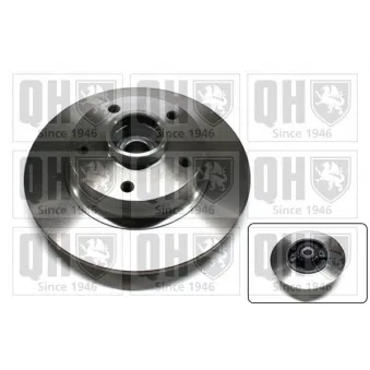 Jeu de 2 disques de frein arrière QUINTON HAZELL OEM 432001539R