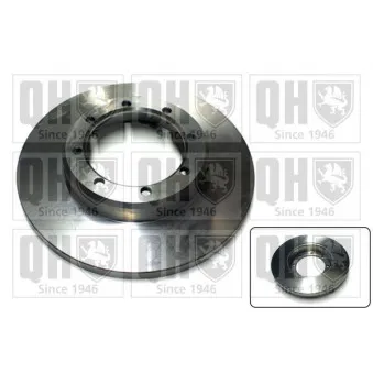 Jeu de 2 disques de frein arrière QUINTON HAZELL OEM 432064087R