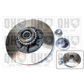 Jeu de 2 disques de frein arrière QUINTON HAZELL BDC6001 pour RENAULT CLIO 3.0 V6 Sport - 226cv