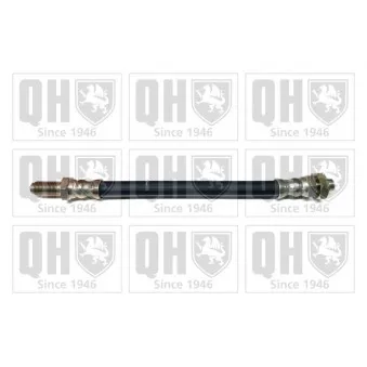 QUINTON HAZELL BFH4484 - Flexible de frein