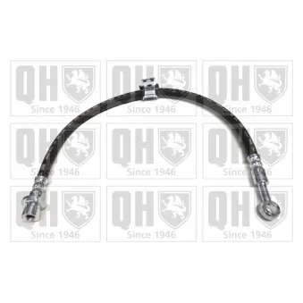 QUINTON HAZELL BFH4488 - Flexible de frein