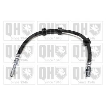 QUINTON HAZELL BFH4642 - Flexible de frein