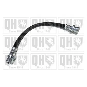 QUINTON HAZELL BFH4930 - Flexible de frein