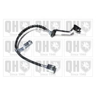 Flexible de frein QUINTON HAZELL BFH4982