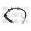 QUINTON HAZELL BFH5146 - Flexible de frein