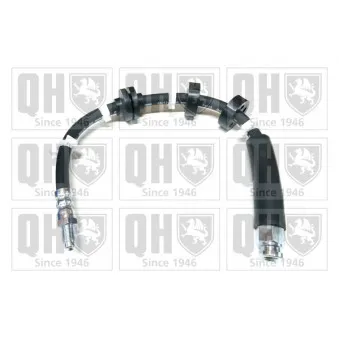 QUINTON HAZELL BFH5159 - Flexible de frein