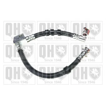 QUINTON HAZELL BFH5165 - Flexible de frein