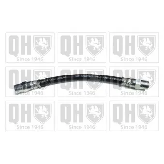 QUINTON HAZELL BFH5353 - Flexible de frein