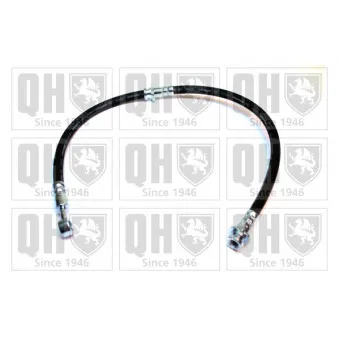 QUINTON HAZELL BFH5556 - Flexible de frein