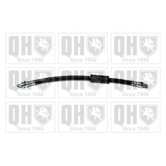 QUINTON HAZELL BFH5561 - Flexible de frein