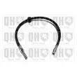 QUINTON HAZELL BFH5734 - Flexible de frein