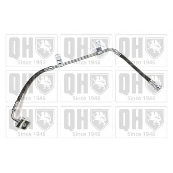 QUINTON HAZELL BFH6050 - Flexible de frein