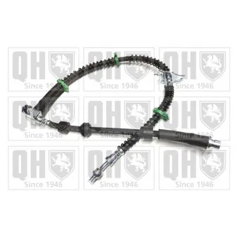 QUINTON HAZELL BFH6056 - Flexible de frein