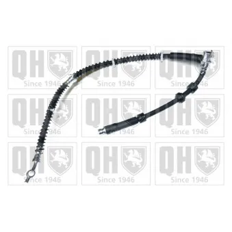 QUINTON HAZELL BFH6057 - Flexible de frein