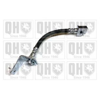 QUINTON HAZELL BFH6069 - Flexible de frein