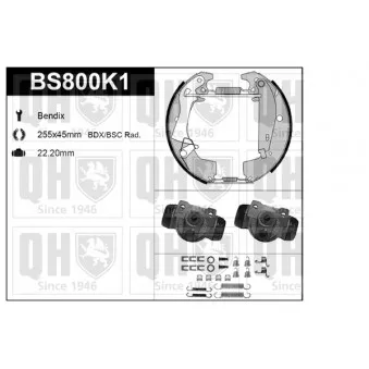 QUINTON HAZELL BS800K1 - Kit de freins, freins à tambours