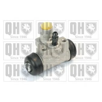 QUINTON HAZELL BWC3804 - Cylindre de roue